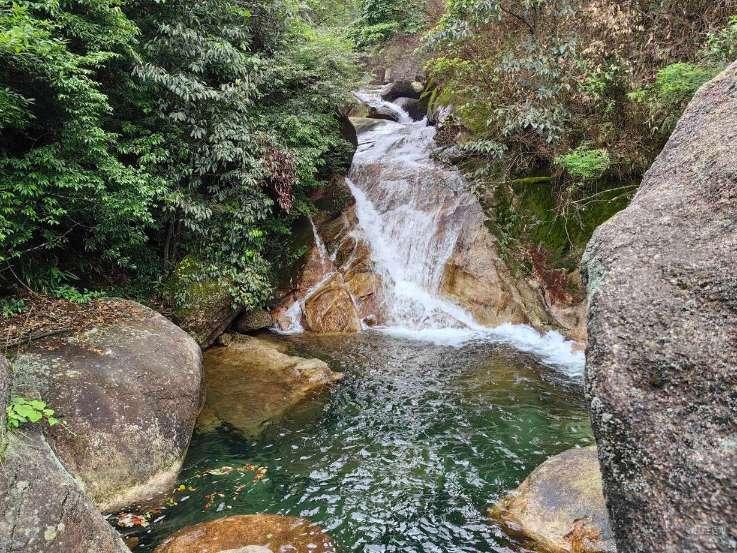 探索天涯 万物皆可问小米粥山药怎么煮好吃又营养